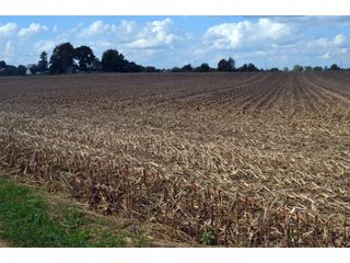 Property photo 47 - EHLE FARMS AUCTION - 118+/- ACRES IN 9 TRACTS IN ALLEN COUNTY, INDIANA